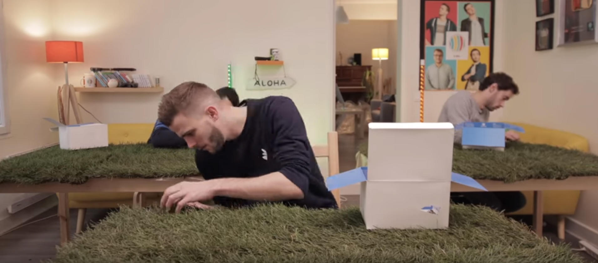 tatou-gazon-combien-brins-herbe-questions-con-lcq tatou-gazon-combien-brins-herbe-questions-con-lcq