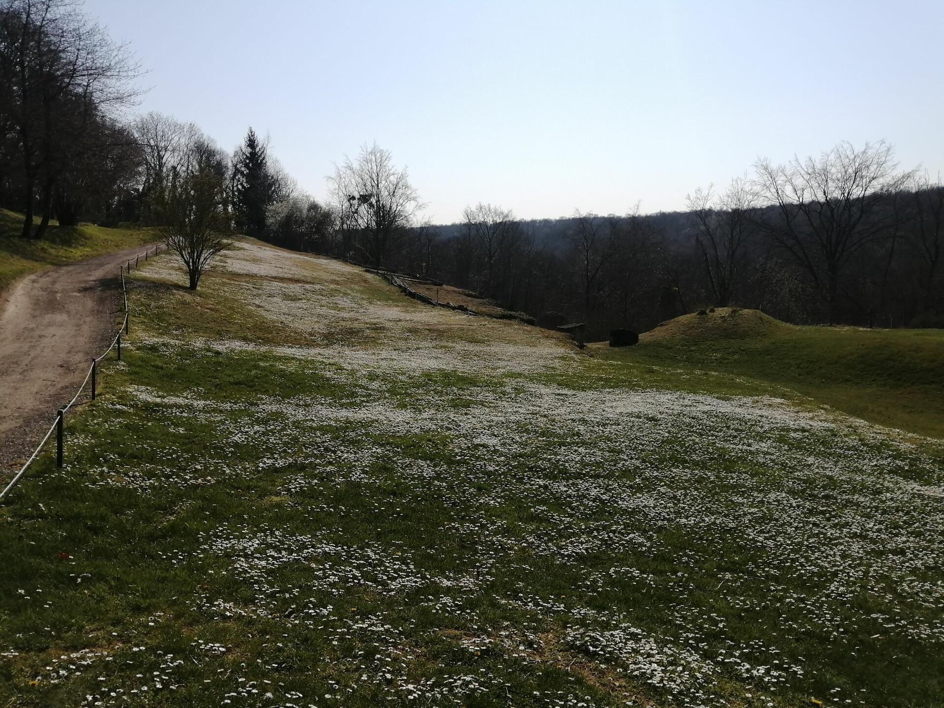 transition-ecologique-golf-loi-labbe-1er-juillet-2022