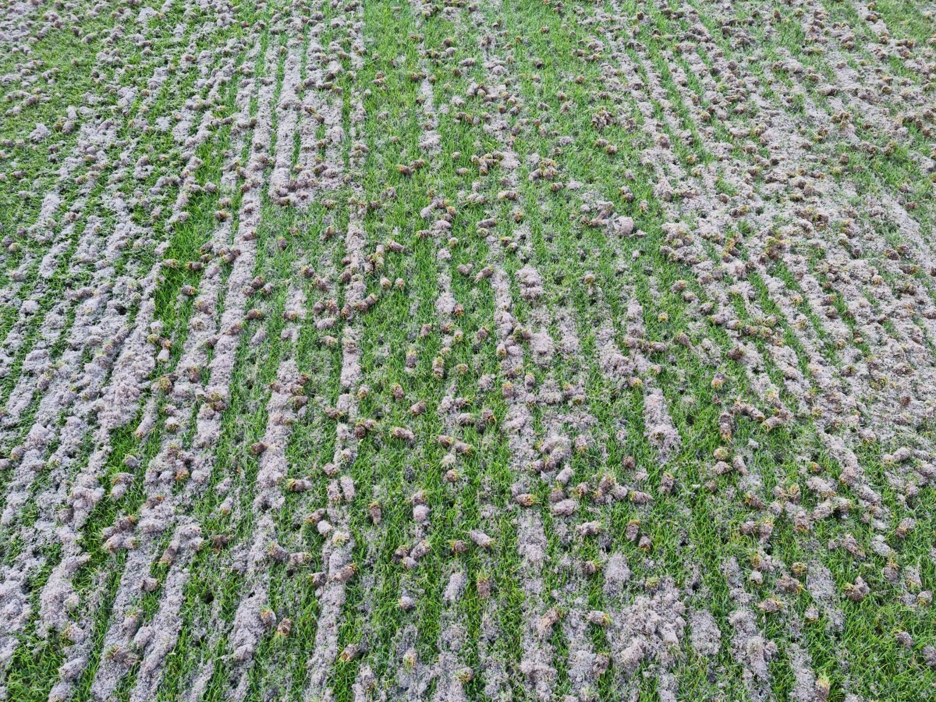 carrotage-stade-ernest-wallon-grassmaster-romain-andreac-3 carrotage-stade-ernest-wallon-grassmaster-romain-andreac-3