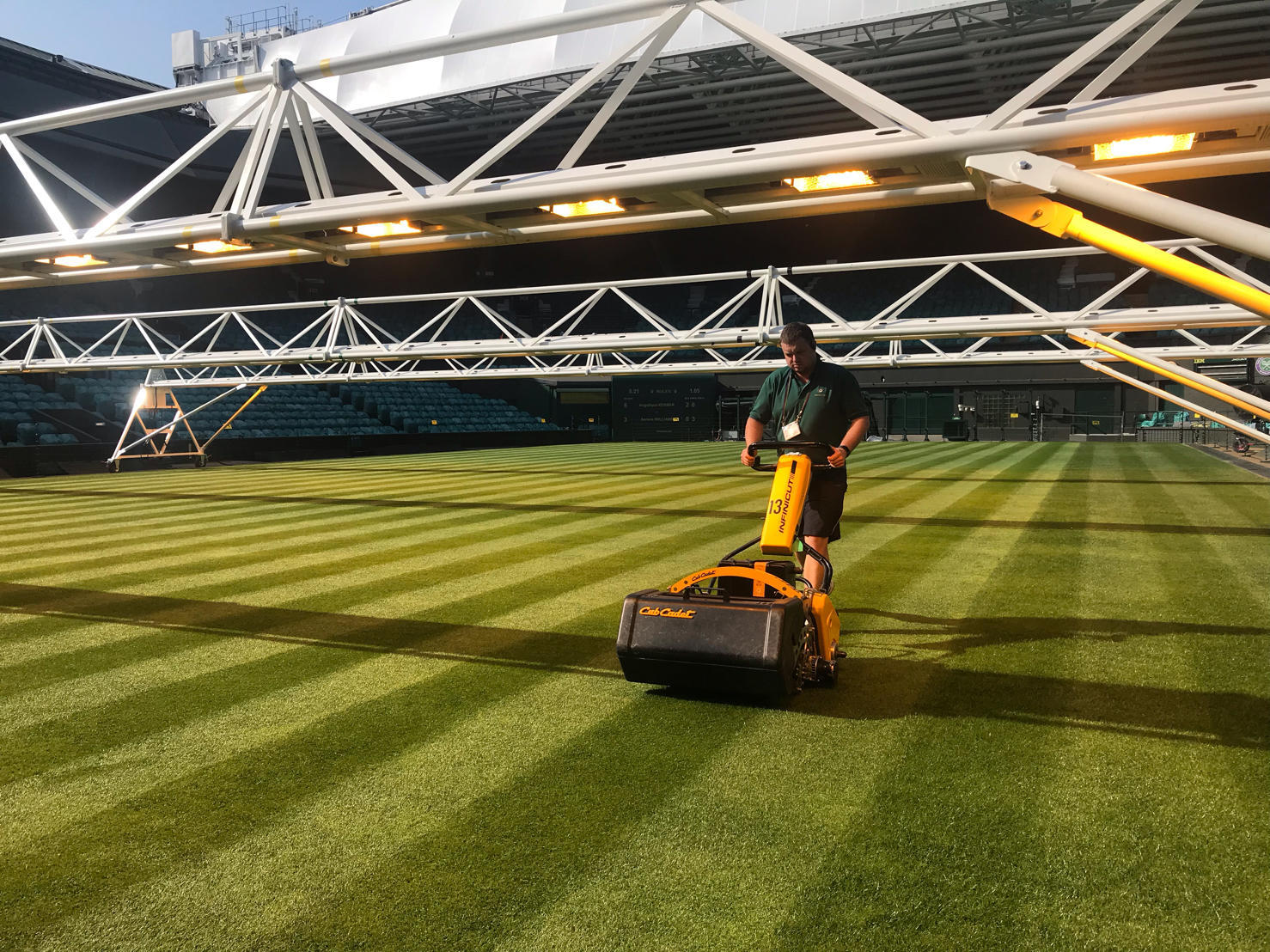 pelouse-wimbledon-gazon-ray-grass