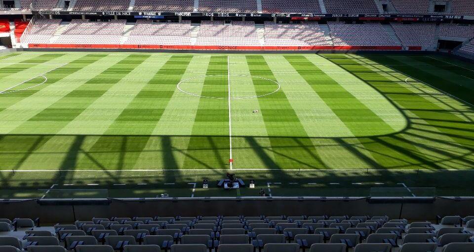 allianz-riviera-pelouse