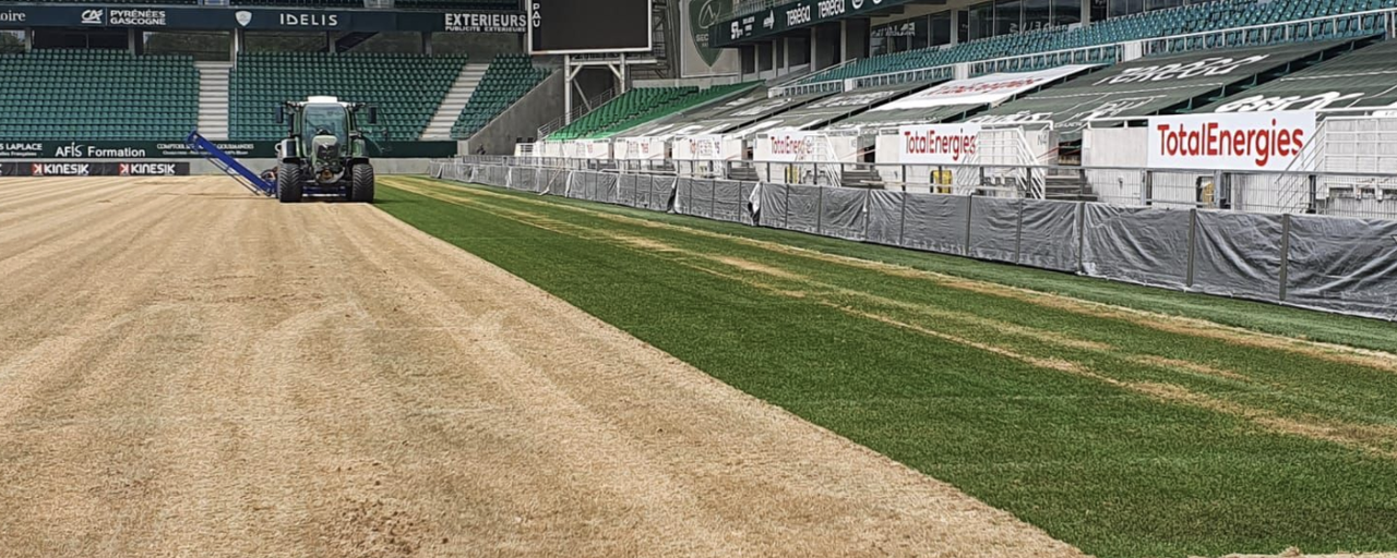 pelouse-de-hameau-pau-travaux-gestain