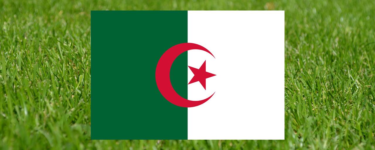 gazon-algérie gazon-algérie
