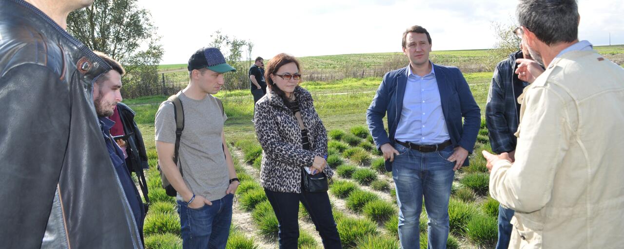 gazon-coupe-du-monde-russie-2018