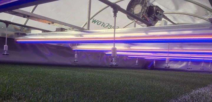 gazon-croissance-express-terrain-professionnel