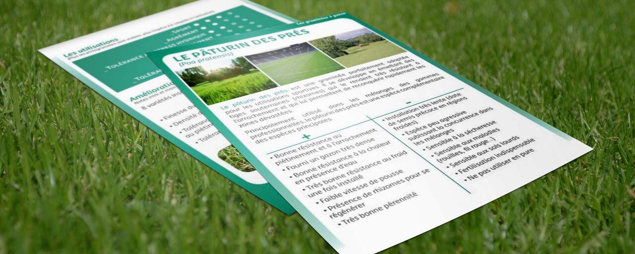 gazon-paturin-pres-GNIS gazon-paturin-pres-GNIS