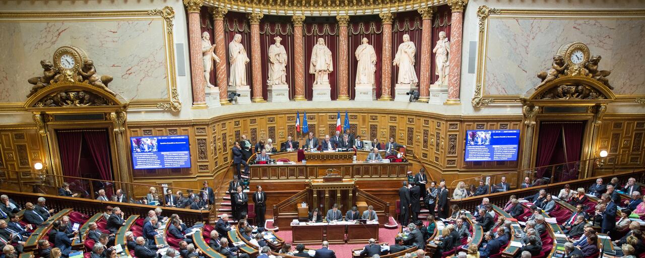 gazon-synthétique-sénat gazon-synthétique-sénat