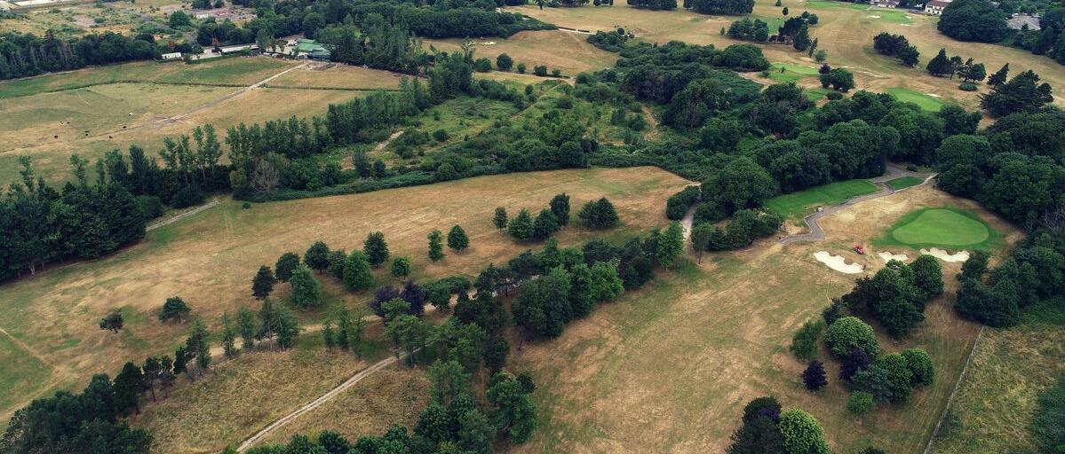 golf-green-gazon-sec