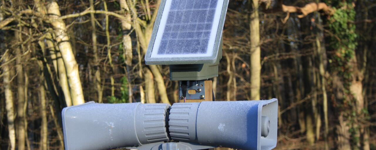 Bestwarden-épouvantails-sangliers