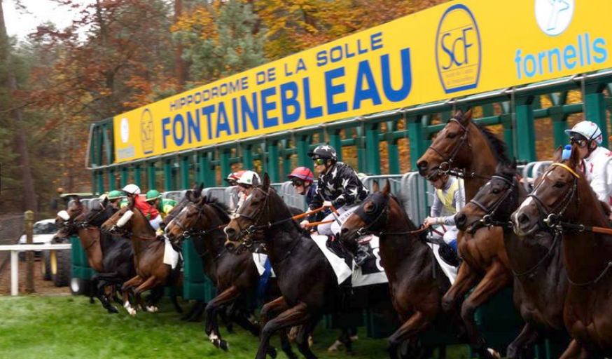 hippodrome-de-la-solle-fontainebleau