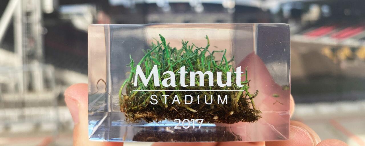 la-pelouse-de-gerland-immortalisee-dans-un-bloc la-pelouse-de-gerland-immortalisee-dans-un-bloc