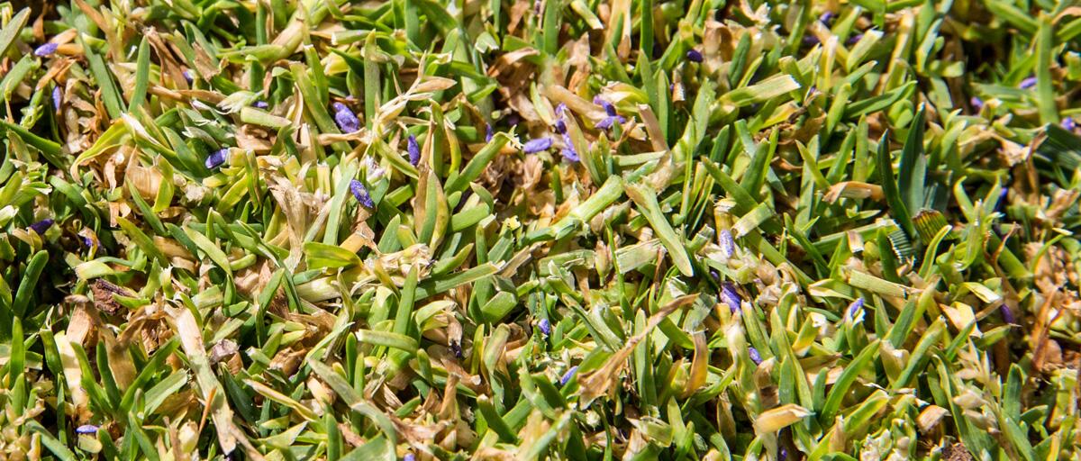 les-48h-du-gazon-sport-pro-table-ronde-conversion-de-flore