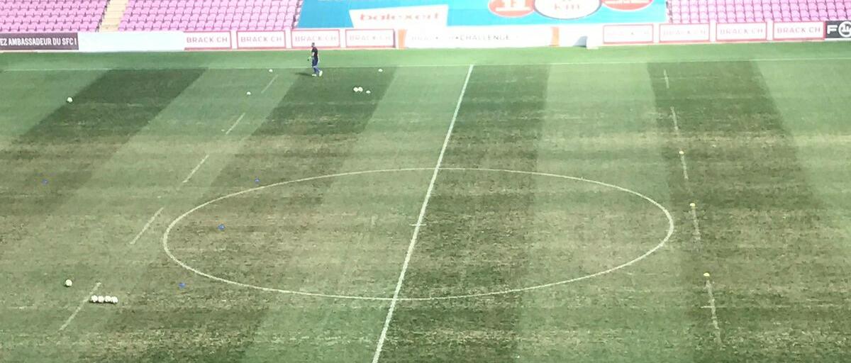 pelouse-stade-genève-praille-champignon