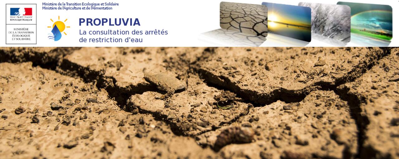 secheresse-france-gazon-terrain-sport