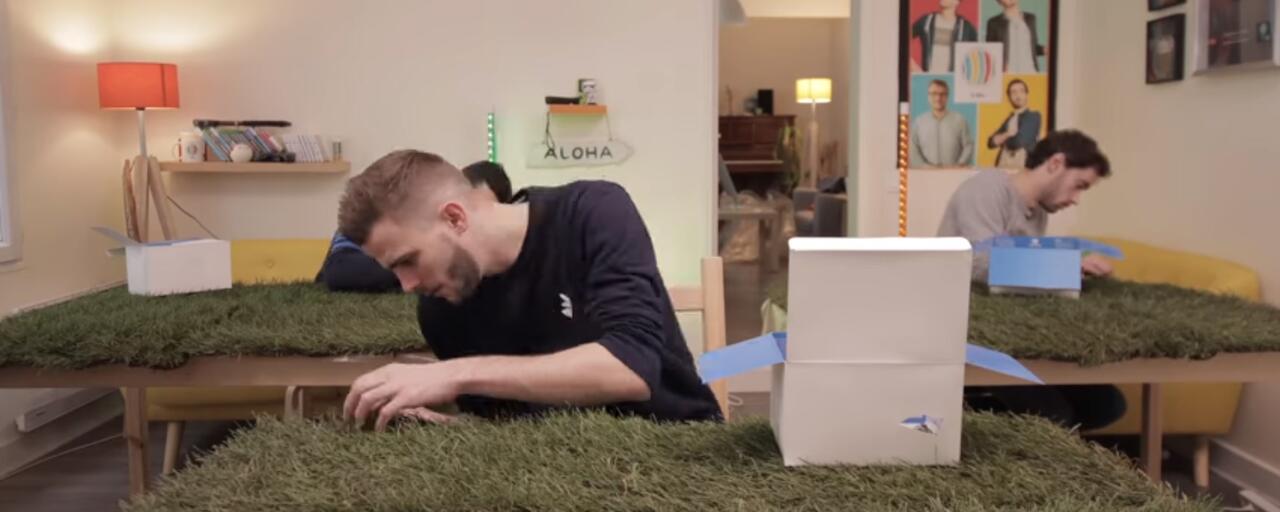 tatou-gazon-combien-brins-herbe-questions-con-lcq