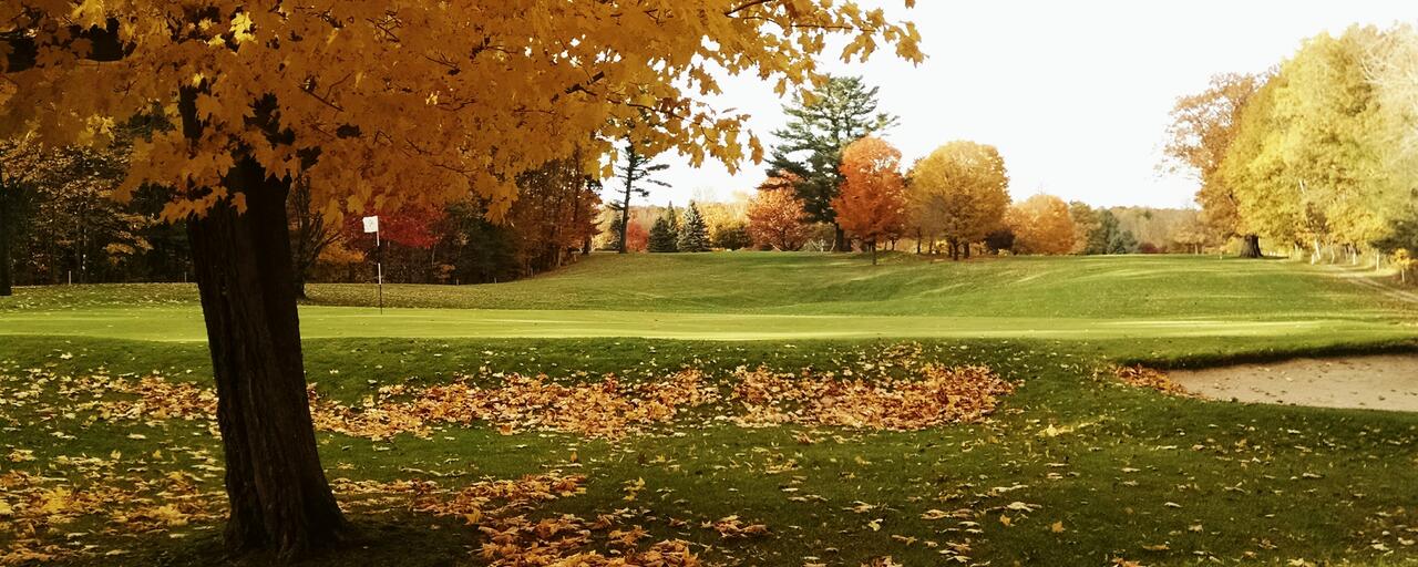 terrain-sport-ramassage-feuille-morte-pelouse-automne-gazon-golf