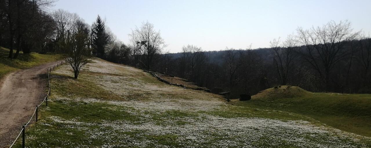 transition-ecologique-golf-loi-labbe-1er-juillet-2022 transition-ecologique-golf-loi-labbe-1er-juillet-2022