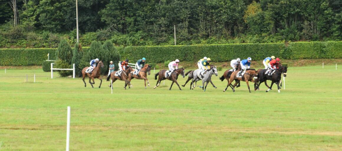 travaux-piste-hippodrome-de-mauron-benevoles travaux-piste-hippodrome-de-mauron-benevoles