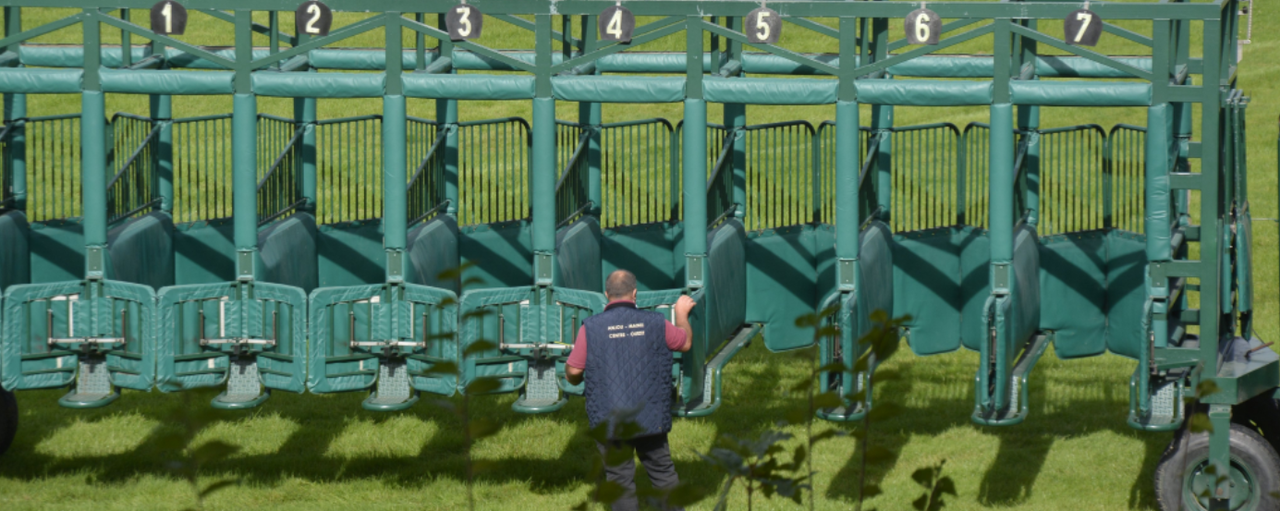 travaux-piste-hippodrome-des-hunaudières-delocalisee-a-l-hippodrome-du-Lion-d-Angers