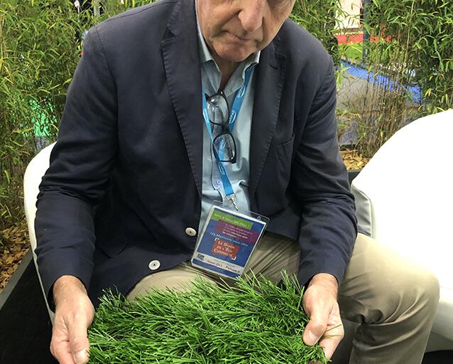 Francois_Le_Roux_Sport_international_pelouse_grass_pitch_champions_league_Atatürk_Olympic_Stadium_2020 Francois_Le_Roux_Sport_international_pelouse_grass_pitch_champions_league_Atatürk_Olympic_Stadium_2020
