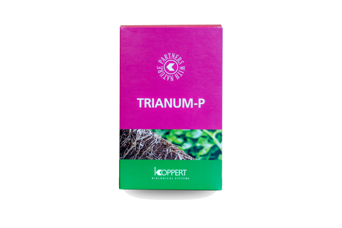 Trianum_P_500_Trichoderma_harzianum_T-22