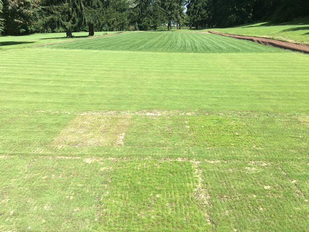 stephen-leoty-gazonniere