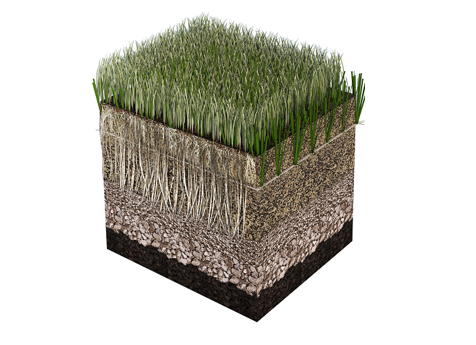 Powergrass
